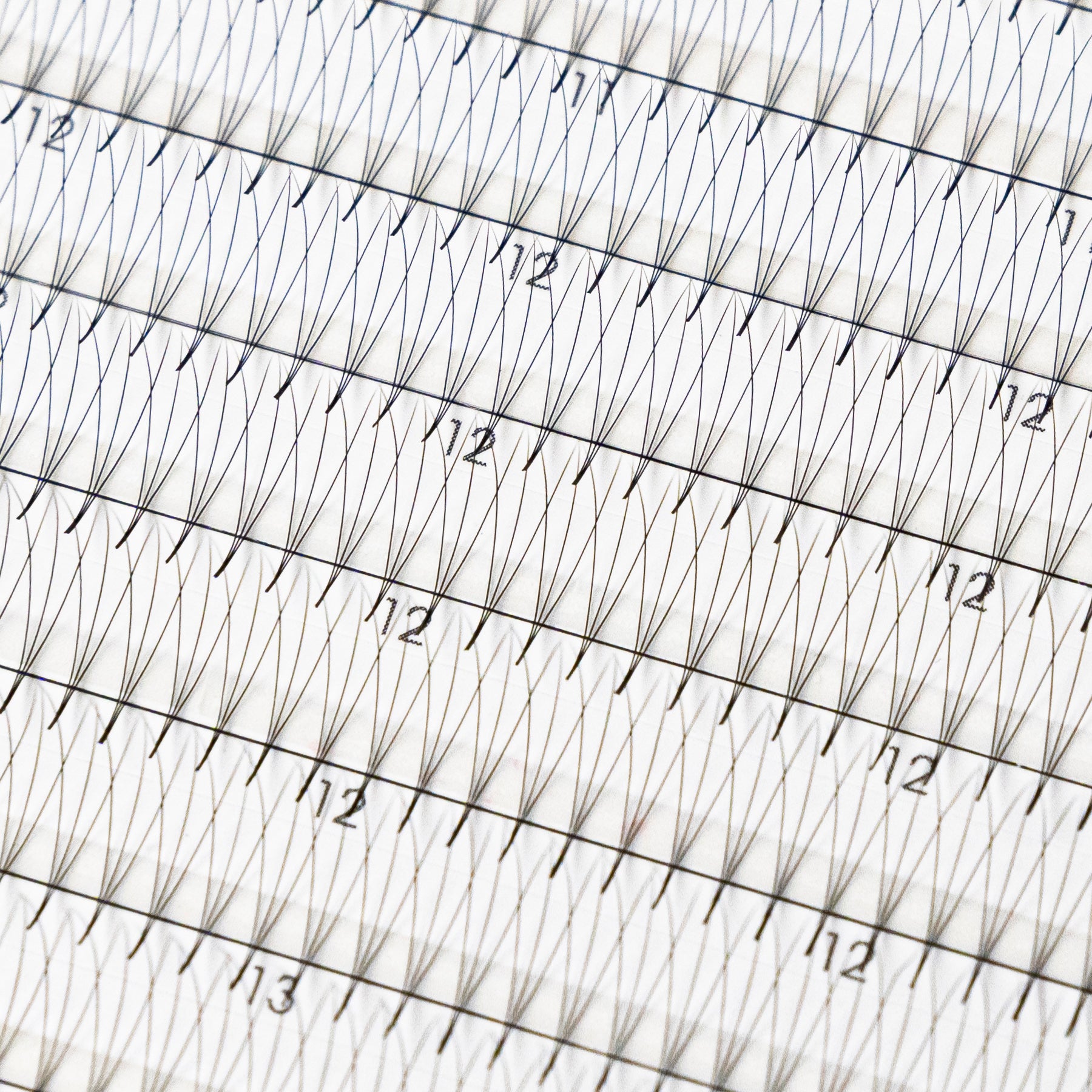 The difference between Korean PBT vs Other Lash materials